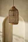 Ceiling Lamps 