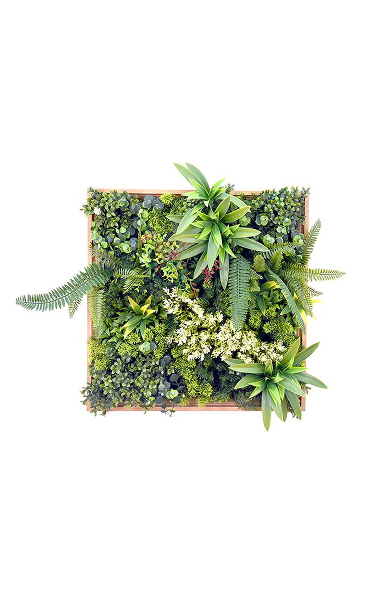 Κορνίζα Artgrass 01 50x50 cm