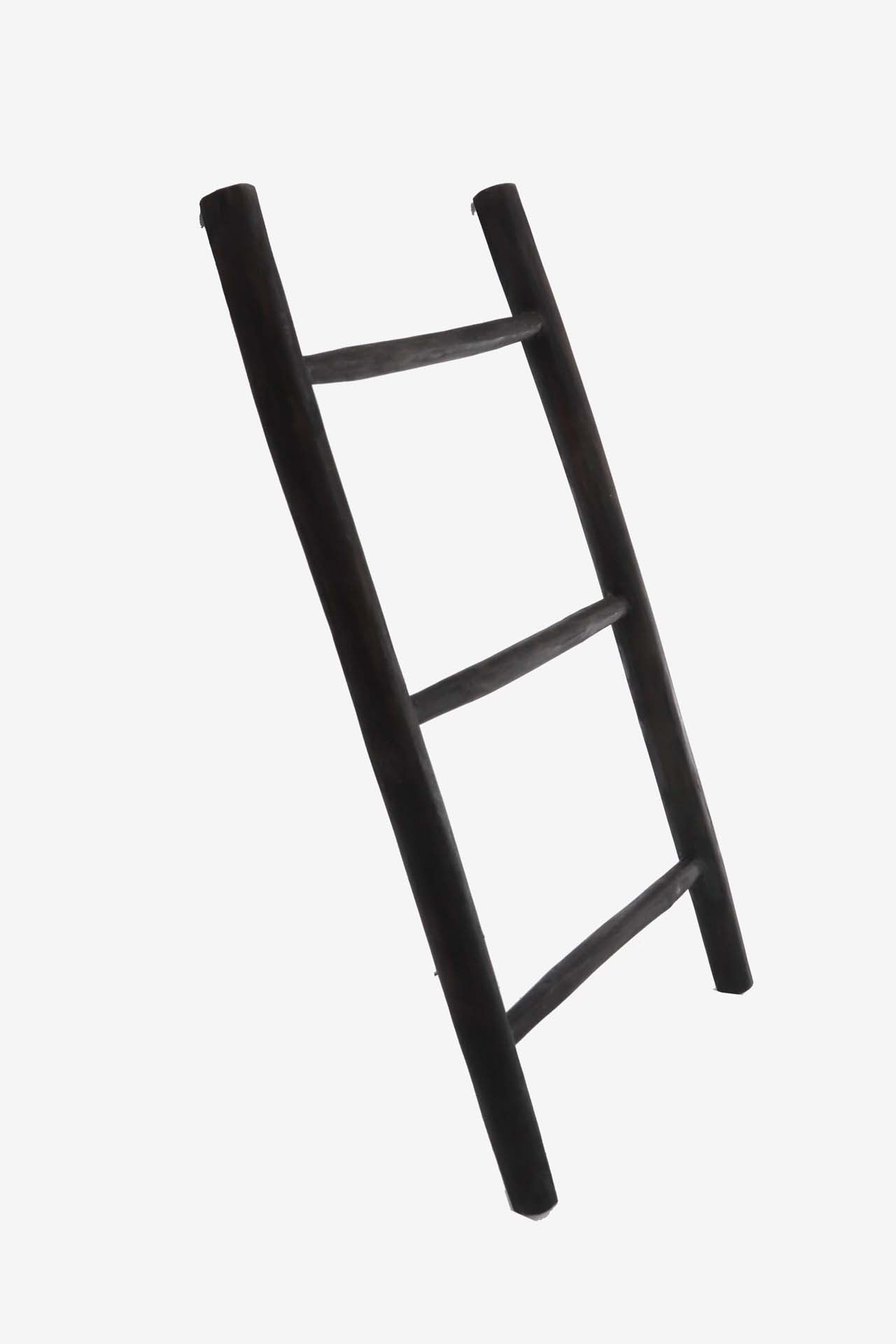 Ladder Flox Low (48x5x100) 0060600